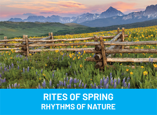 2024 Rites of Spring thumbnail